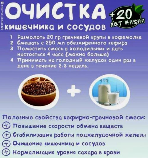 Лекарства для регулярного стула работы кишечника